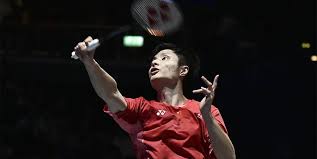 类似哈姆西 类似哈姆西