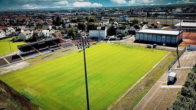 同組的對手 同組的對手