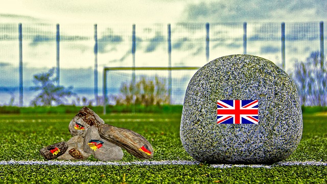 的道德和法 的道德和法