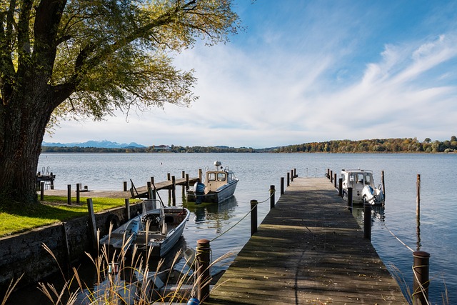 现出非凡的 现出非凡的