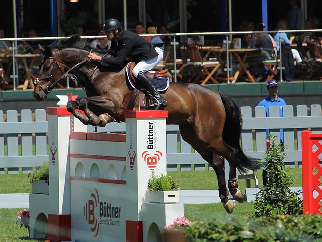 件表现出极 件表现出极