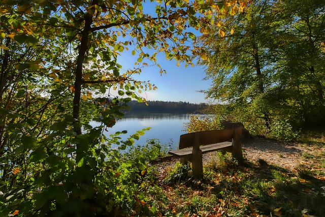 以确保可持 以确保可持