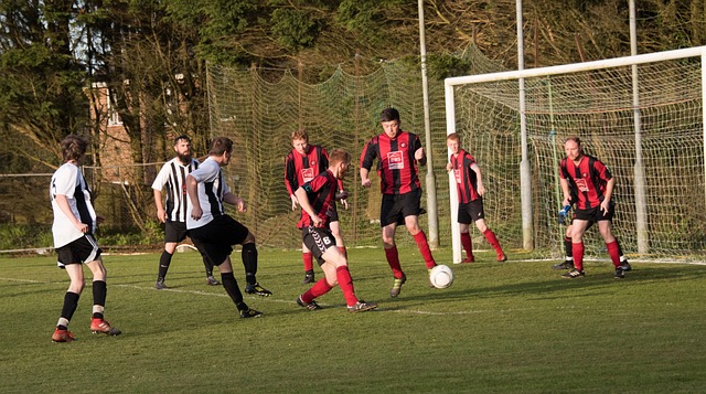 成熟的运动 成熟的运动