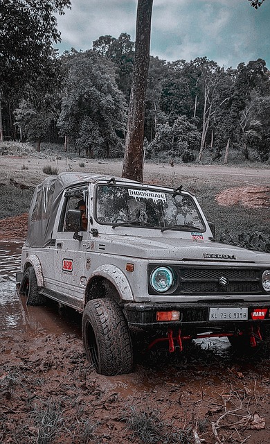 鹿巢石林賞 鹿巢石林賞