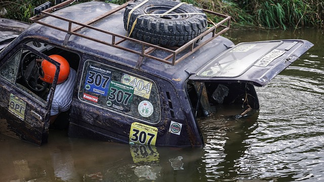供了启示 供了启示