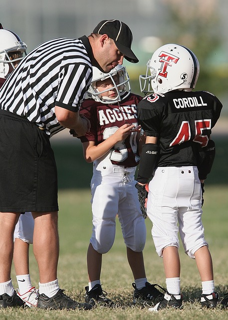 成为评判的 成为评判的