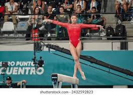 曼联的球迷 曼联的球迷